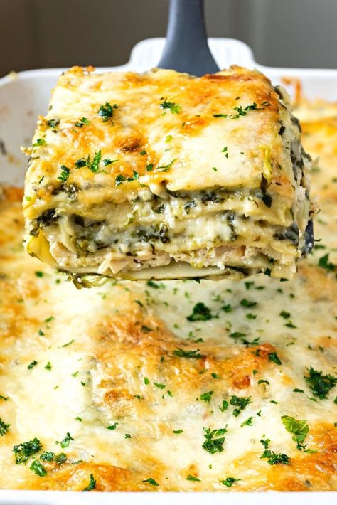 Chicken And Broccoli Lasagna, Chicken And Spinach Lasagna, Broccoli Lasagna, White Lasagna Recipe, Presto Pasta, Chicken Spinach Lasagna, Chicken Lasagna Recipe, White Chicken Lasagna, White Lasagna