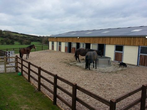 Horse Paddock Ideas, Paddock Ideas, Horse Farm Layout, Perfect Yard, Small Horse Barns, Horse Shed, Horse Paddock, Horse Farm Ideas, Diy Horse Barn