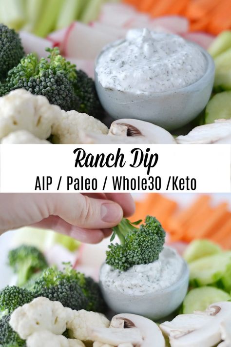 Aip Lunches On The Go, Aip Superbowl Recipes, Low Carb Aip Recipes, Heal Me Delicious Aip, Aip Protein Powder, Summer Aip Recipes, Paleo Aip Recipes, Aip Smoothie Recipes, Paleo Comfort Food Recipes