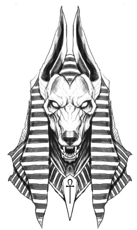 Egyptian Drawings Anubis, Anubis Drawing Egyptian Art, Anubis Drawing Sketches, Pharoah Egyptian Drawing, Anubis Sketch, Anubis Tattoo Stencil, Tattoo Design Egyptian, Anubis Tattoo Design Ideas, Anubis Tattoo Design