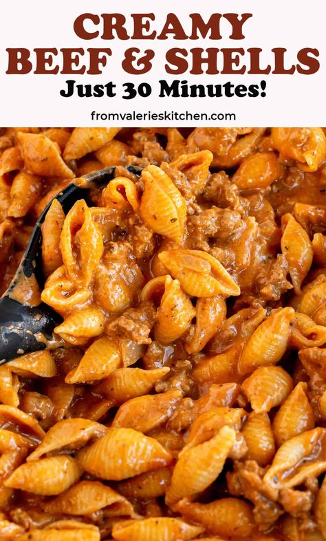 Tender shell pasta in a meaty, deliciously seasoned tomato cream sauce. Creamy Beef and Shells is an incredibly comforting skillet pasta recipe that is ready in 30 minutes, start to finish! #pasta #30minutemeal #easydinner #groundbeefrecipes #groundbeef Skillet Pasta Recipes, Creamy Beef And Shells, Beef And Shells, Shell Pasta Recipes, Shell Pasta, Food Hamburger, Tomato Cream Sauce, Shells Recipe, Skillet Pasta