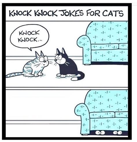 Off The Mark, Cat Crazy, Cat Jokes, Cat Comics, Cat Quotes, Funny Cat Memes, Funny Animal Pictures, Funny Cartoons, Cartoon Cat