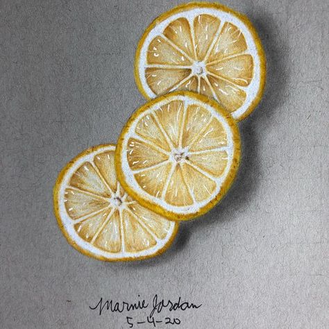 How To Draw Lemon Slices, Lemon And Lime Drawing, Drawings Of Lemons, Lemon Slices Drawing, Lemon Pencil Drawing, Lemon Slice Painting, Lemon Slice Drawing, Colored Pencil Artwork Ideas, Lemon Drawing