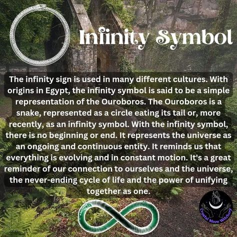 Infinity Sign Meaning, Infinity Meaning, Serpent Symbolism, Intuitive Empath, Infinity Sign, Witch Spell Book, Cycle Of Life, Spiritual Meaning, Infinity Symbol