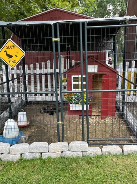 Diy Duck Enclosure Ideas: Duck coop and rin Kids playhouse in duck pen Duck coop Backyard ducks Backyard chicken farming Duck house Duck enclosure Duck pens Outside Duck Pen, Duck Coop Decorations, Playhouse Duck Coop, Duck Fence Ideas, Duck Set Up Ideas, Duck Cage Ideas, Duck Pens Backyard, Duck Area Ideas, Cheap Duck Coop Ideas