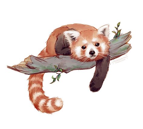 Snow Panda, Red Panda Cartoon, Panda Cartoon, Red Pandas, Cartoon Drawing, Red Panda, Art Photo, To Draw, Digital Art