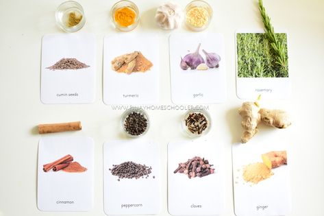 Learning Herbs, Montessori Language, Toddler Curriculum, Teacher Office, Montessori Practical Life, Making Essential Oils, Toddler Classroom, Montessori Preschool, Montessori Ideas