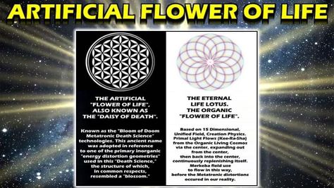 12 Strand Dna, Maharic Seal, Kathara Grid, Spiritual Spiral, Keylontic Science, Ashayana Deane, Raising Consciousness, Walter Russell, Spiritual Awakening Stages