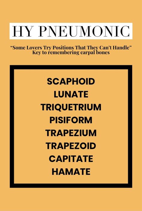 Carpal Bones, Usmle Step 1, Medical Student Study, Carpal Tunnel, Med Student, Med School, Student Studying, Medical Students, Medical School