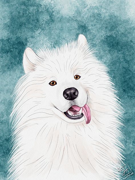 Pet Advertising, White Husky, Samoyed Dogs, Illustration Procreate, Dog Artwork, Dog Poster, Watercolor Landscape Paintings, Watercolor Dog, Dog Illustration