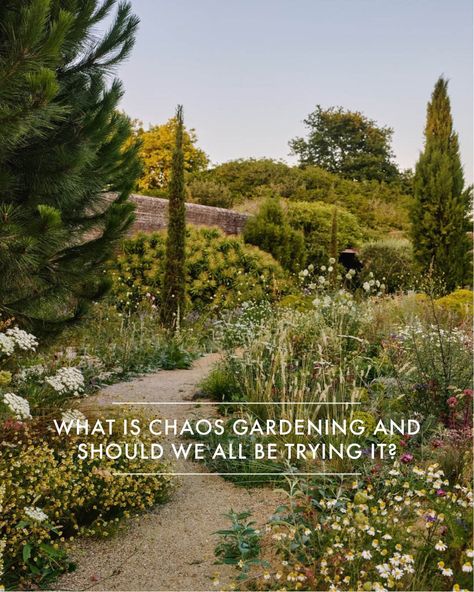 House & Garden Magazine (@houseandgardenuk) • Instagram photos and videos Woodbridge Suffolk, Garden Magazine, House Garden, Natural Style, Horticulture, Scandinavian Design, The Great Outdoors, Landscaping, Eco Friendly