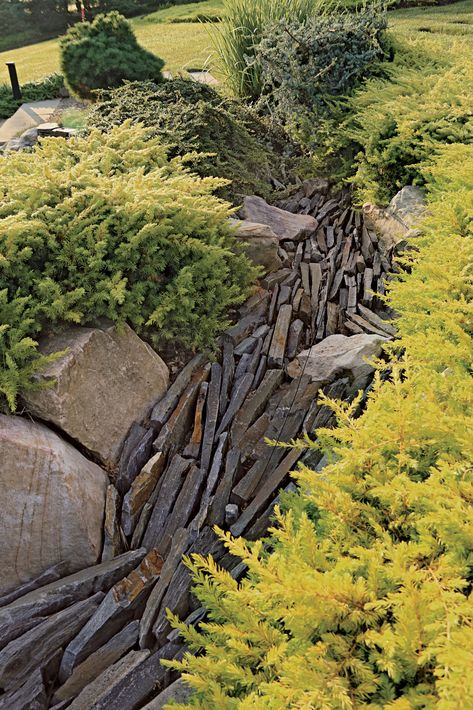 5 Inspiring Naturalistic Dry Creek-Bed Designs - Fine Gardening Diy Dry Creek Bed Landscaping, Dry Stream, Dry Creek Bed Landscape, Beautiful Space Pictures, Dry Riverbed Landscaping, Gutter Drainage, Stream Bed, Spiritual Garden, Dry Creek Bed