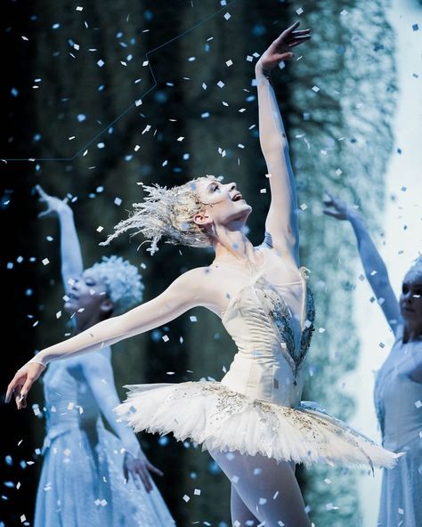 Nutcracker Snow Queen, The Snow Queen, Nutcracker Ballet, The Nutcracker, Snow Queen, Dresden, Nutcracker, Growing Up, Mood Board