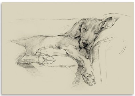 Sketch Note, Accent Art, Black And White Sketches, Drawing Prints, World Art, Old Man, Dog Days, Find Art, A Dog