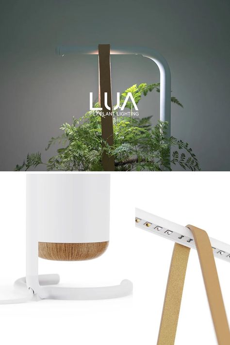 Plant Vase Ideas, Smart Planter, Indoor Planter Box, Lamp Planters, Desk Plants, Apartment Plants, Plant Light, Planter Design, Aquarium Design