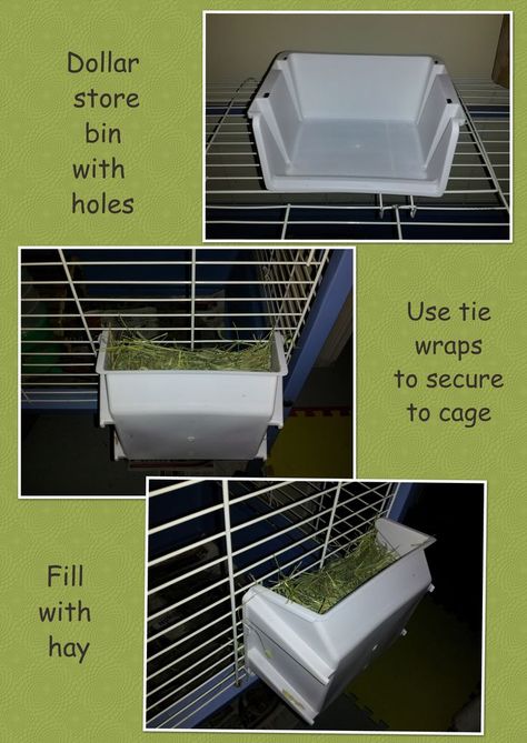 Create a cheap hay rack for your guinea pig or rabbit. It keeps hay from falling… Cavy Cage, Guinea Pig Diet, Guinea Pig Ideas, Hay Rack, Guinea Pig Diy, Pig Ideas, Guinea Pig Cages, Rabbit Stuff, Rabbit Ideas