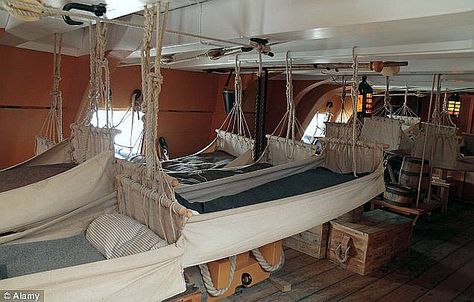 Sailor's Hammocks with their Sea Chests underneath. Portsmouth Dockyard, Battle Of Trafalgar, 1000 Lifehacks, Hms Victory, Hammock Bed, Wooden Ship, Boat Party, Houseboat, Tall Ships