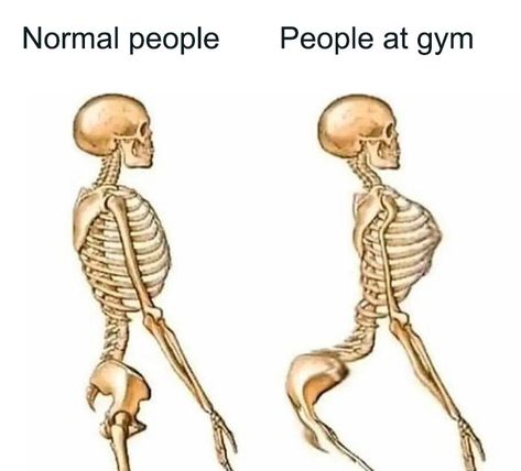 Gym Memes Funny, Fitness Memes, Daily Jokes, Interesting Story, Workout Memes, Funny Blogs, Sports Memes, Gym Memes, Best Gym