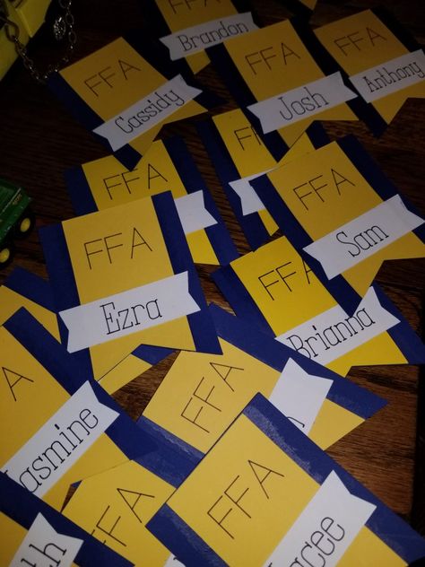 FFA locker decorations, school spirit Ffa Locker Decorations, National Ffa Week Ideas, Ffa Decorations Banquet, Ffa Bulletin Boards Ideas High Schools, Ffa Classroom Decorations, Ffa Motto, Ffa Classroom, Ffa Week Ideas, Ffa Banquet Decorations