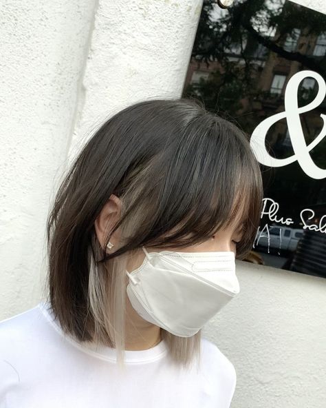 Peekaboo Hair Curtain Bangs, Peekaboo Bangs, Hair Color Underneath, Peekaboo Hair, Textured Bob, Long Bob Hairstyles, Curtain Bangs, Long Bob, Haircut Ideas