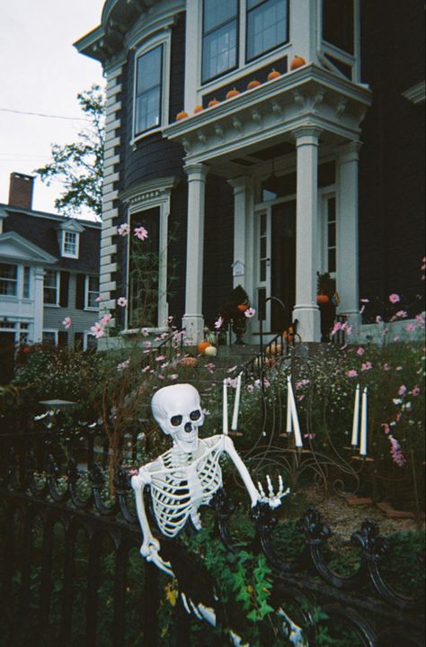 Salem, halloween, disposable camera, film camera Salem Halloween, Salem Massachusetts, Camera Film, Disposable Camera, Film Camera, Day Trip, Massachusetts, Film, Halloween