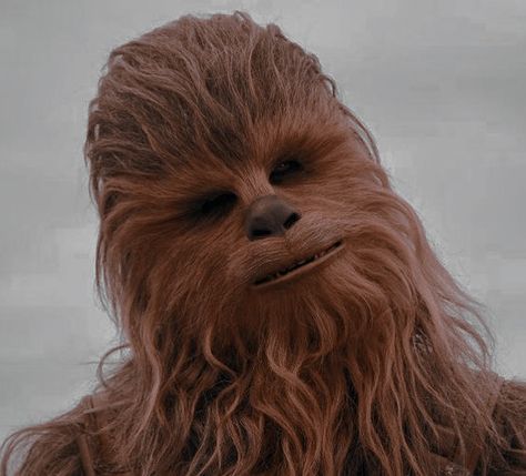 Star Wars Brown Aesthetic, Chewbacca Star Wars, Star Wars Widget Ideas, Chewbacca Aesthetic, Aesthetic Star Wars Pictures, Starwars Icons, Star Wars Widgets, Star Wars Pfp Aesthetic, Star Wars Widget Icons