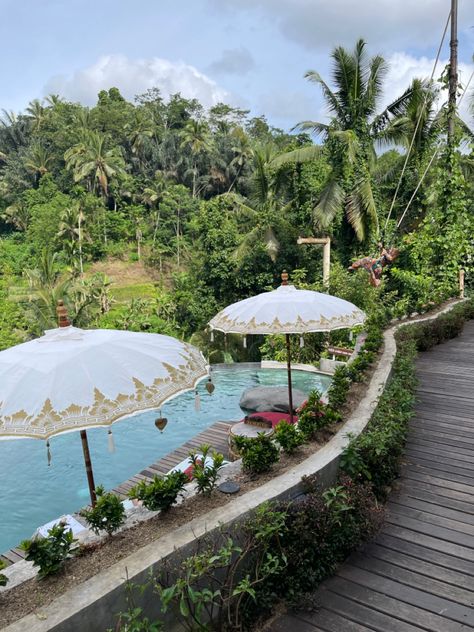 Bali Living, Bali Life, Swimming Pool Architecture, Bali Ubud, Beach Hotel & Resort, Itinerary Planning, Rice Fields, Natural Swimming Pool, Rice Terraces