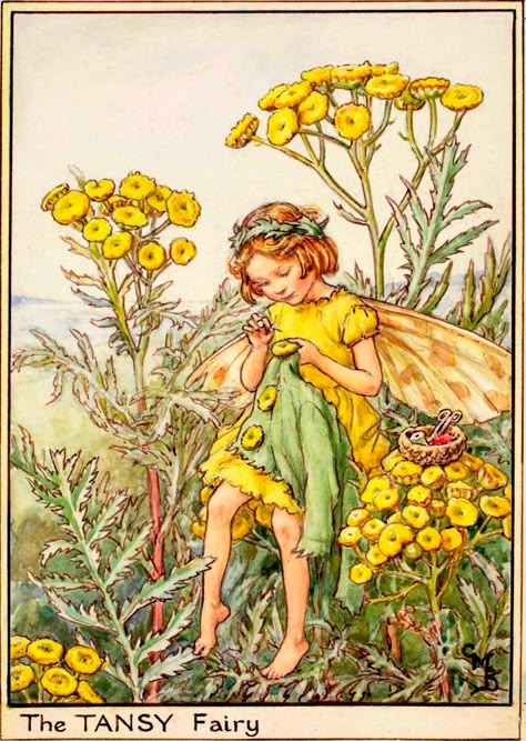 Cecily Mary Barker, Wood Postcard, Fairy Illustration, Wood Card, Cicely Mary Barker, Vintage Fairies, Retro Wall Decor, Flower Fairies, Fairytale Art