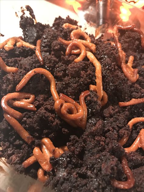 Worms And Dirt Dessert, Dirt And Worms Dessert, Worm Painting, Dirt And Worms, Worm Aesthetic, Worms In Dirt, Dirt Dessert, House Series, Edit Capcut