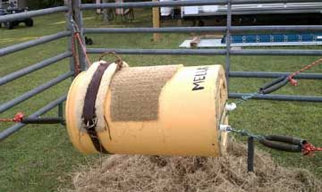 bucking bull for children. Used 30 gal. barrell, PVC pipe, rope, and trampline springs. Bullrider Birthday Party, Diy Bull Riding Barrel, Bucking Barrel Diy, Bucking Bull Birthday Party, Bull Rider Birthday Party, Bull Riding Birthday Party, Bucking Barrel, Rodeo Ideas, Roping Dummy