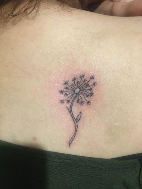 Tattoo Linework, Dandelion Tattoo, Tattoo Work, Leaf Tattoos, Coils, Maple Leaf Tattoo, Blackwork, Maple Leaf, I Tattoo