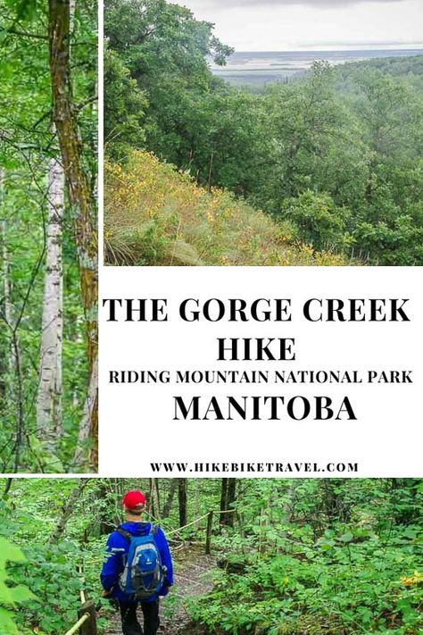 The Gorge Creek Hike in Riding Mountain National Park, Manitoba #hiking #manitoba #RidingMountainNationalPark #nationalparks #Canada #besthikes Riding Mountain National Park, Manitoba Travel, Best Hiking Gear, Living In Canada, Hiking Europe, Canada Trip, Canadian Travel, The Gorge, The 300