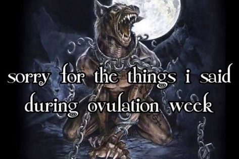 Ovulation Week, Alpha Quote, Inappropriate Thoughts, Im Going Crazy, Funny Reaction Pictures, Silly Me, Just Girly Things, Funny Me, Man Humor