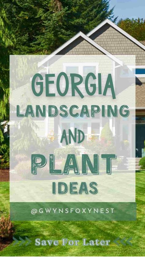 Discover stunning Georgia landscape ideas tailored to the state's unique climate and soil. Explore native plants, water features, hardscape designs, and sustainable landscaping practices for a beautiful, eco-friendly garden. Georgia Landscape Ideas, Georgia Landscape, Plants For Landscaping, Sustainable Gardening, Sustainable Landscaping, Hardscape Design, Eco Friendly Garden, Flower Landscape, Sustainable Garden