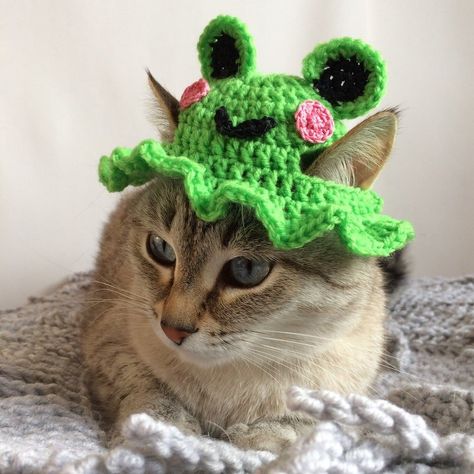 Crochet Funny Hat, Cat Hat Pattern, Cat Hats, Crochet Cat Hat, Frog Hat, Hat Patterns Free, Crochet Frog, Halloween Prop, Bonnet Crochet