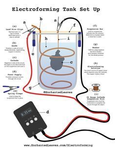 Electroforming Tutorial - Free Step by Step Guide to Making Copper Ele – Enchanted Leaves Electroforming Tutorial, Capm Exam, Electroplating Diy, Electroplating Jewelry, Copper Electroformed Jewelry, Copper Electroforming, Electronics Basics, Metal Etching, Electronics Projects Diy