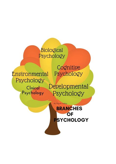 Branches Of Psychology, Psychology Posters, Environmental Psychology, Alternative Fuel, Liver Diet, Developmental Psychology, Psych, Psychology, Fuel