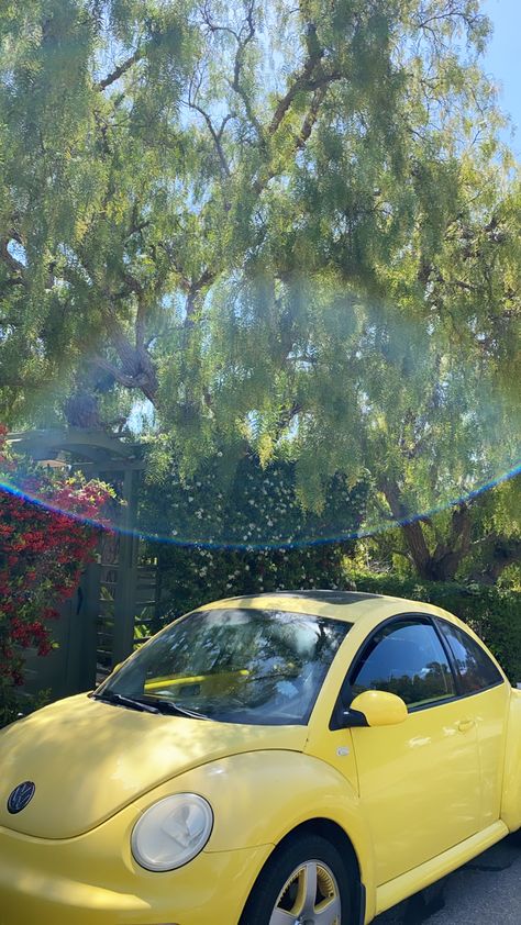 yellow punch buggy, volkswagen, rainbow Yellow Vw Beetle Aesthetic, Yellow Punch Buggy, Yellow Buggie Car, Yellow Volkswagen Beetle Aesthetic, Beetle Aesthetic Car, Yellow Beetle Car Aesthetic, Punch Buggy Aesthetic, Punch Buggy Car, Yellow Bug Car