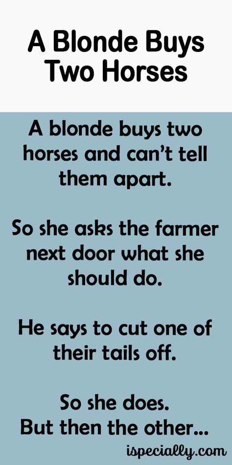 A Blonde Buys Two Horses Blond Jokes, Funny Blonde Jokes, Horse Jokes, Two Blondes, Jokes About Men, Horse Cartoon, Funny Marriage Jokes, Blonde Jokes, Marriage Jokes