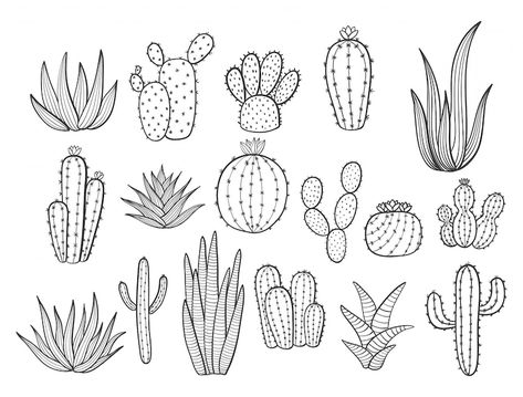 Cactus Outline, Cactus Doodle, Plants Vector, Succulents Drawing, Cactus Svg, Plant Doodle, Cactus Tattoo, Cactus Drawing, Watercolor Cactus