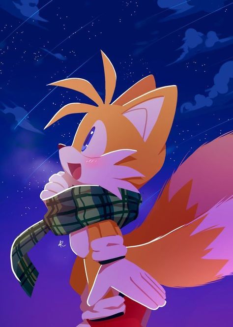 Tails Wallpaper, Tails Sonic The Hedgehog, Shadow Sonic, Fox Boy, Sonic Heroes, Silver The Hedgehog, Sonic Characters, Sonic And Amy, Sonic Funny