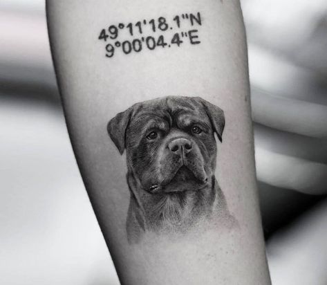 Dog Paw Print Tattoo, Puppy Care Tips, Rottweiler Tattoo, Puppy Tattoo, Pocket Watch Tattoos, Avengers Tattoo, Hyper Realistic Tattoo, Pumpkin Tattoo, Half Sleeve Tattoos For Guys