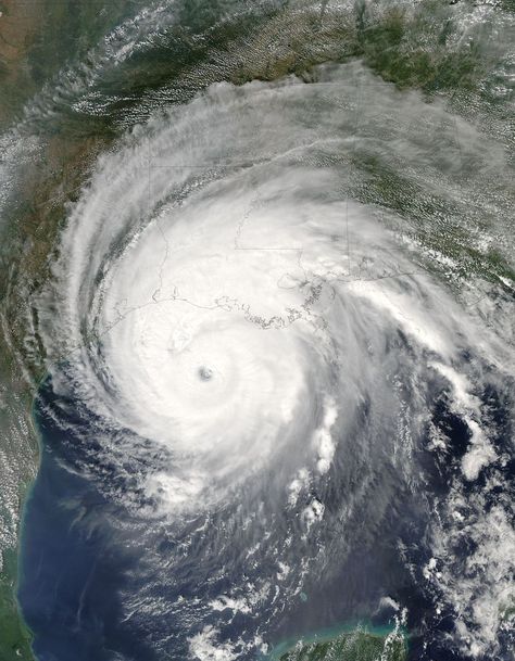 Finding the Fibonacci sequence in a hurricane | MNN - Mother Nature Network Fibonacci Spiral Nature, Spirals In Nature, Fibonacci Sequence, Wild Weather, Eye Of The Storm, Caribbean Island, The Weather Channel, Natural Phenomena, Extreme Weather