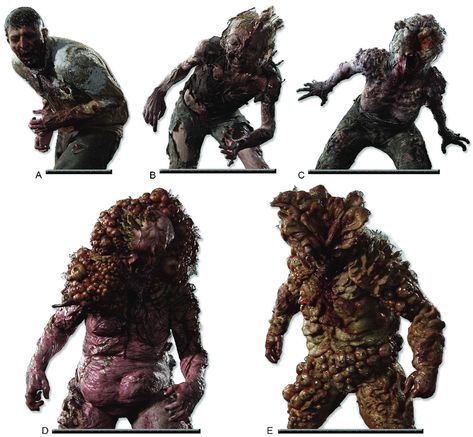 Tlou stalkers infected Cordyceps Zombies, Types Of Zombies, Arte Zombie, Zombie Art, Real Nature, Sci Fi Horror, Smart Auto, Rpg Maker, Post Apocalypse