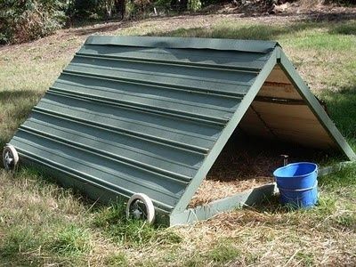 Goat Playground Ideas, Sheep Shelter, Pig Shelter, Playground Ideas For Kids, Goat Playground, Goat Shed, Goat Shelter, Mini Goats, Pallet Playhouse