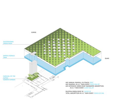 Cornell University Milstein Hall - SCAPE Milstein Hall, Extensive Green Roof, Dynamic Pattern, Rem Koolhaas, Forest Canopy, Sunken Garden, Water Storage Tanks, Landscape Plan, Cornell University