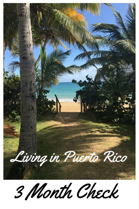 Living In Puerto Rico, Moving Abroad, Dream Night, Move Abroad, Sweet Escape, Best Places To Live, Living Abroad, Vacation Mode, Puerto Rican