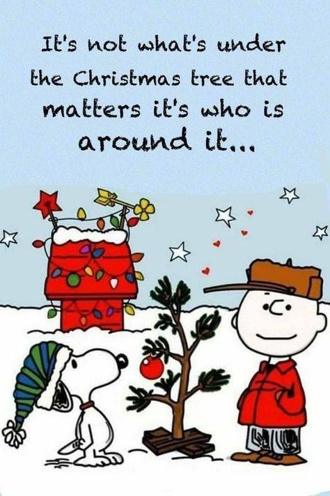 Snoopy Christmas Quotes, December Quotes, Tree Quotes, Truth Ideas, Christmas Bible, Winter Quotes, Brown Christmas, Snoopy Quotes, Peanuts Christmas