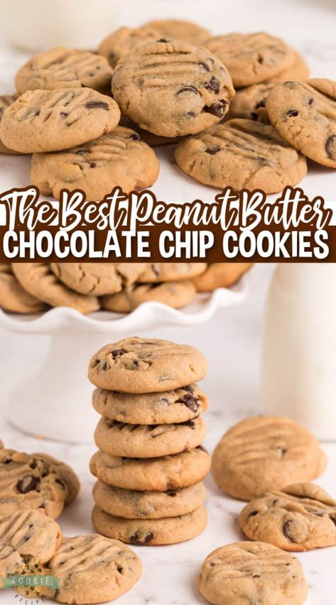 PEANUT BUTTER CHOCOLATE CHIP COOKIES - Family Cookie Recipes Peanut Butter Chip Cookies, Chewy Sugar Cookie Recipe, Choco Chip Cookies, Jelly Cookies, Easy Peanut Butter Cookies, Chewy Sugar Cookies, Peanut Butter Chocolate Chip Cookies, Chocolate Peanut Butter Cookies, Choc Chip Cookies