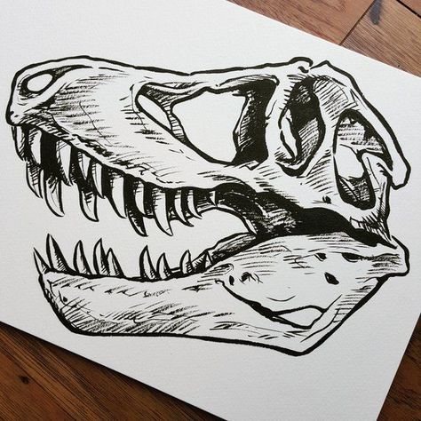 SUEEEEEEEE Dino Skull, Jurassic Park Tattoo, Dino Drawing, T Rex Skull, Australian Tattoo, Pentel Brush Pen, Dinosaur Sketch, Dinosaur Tattoos, Brush Pen Art